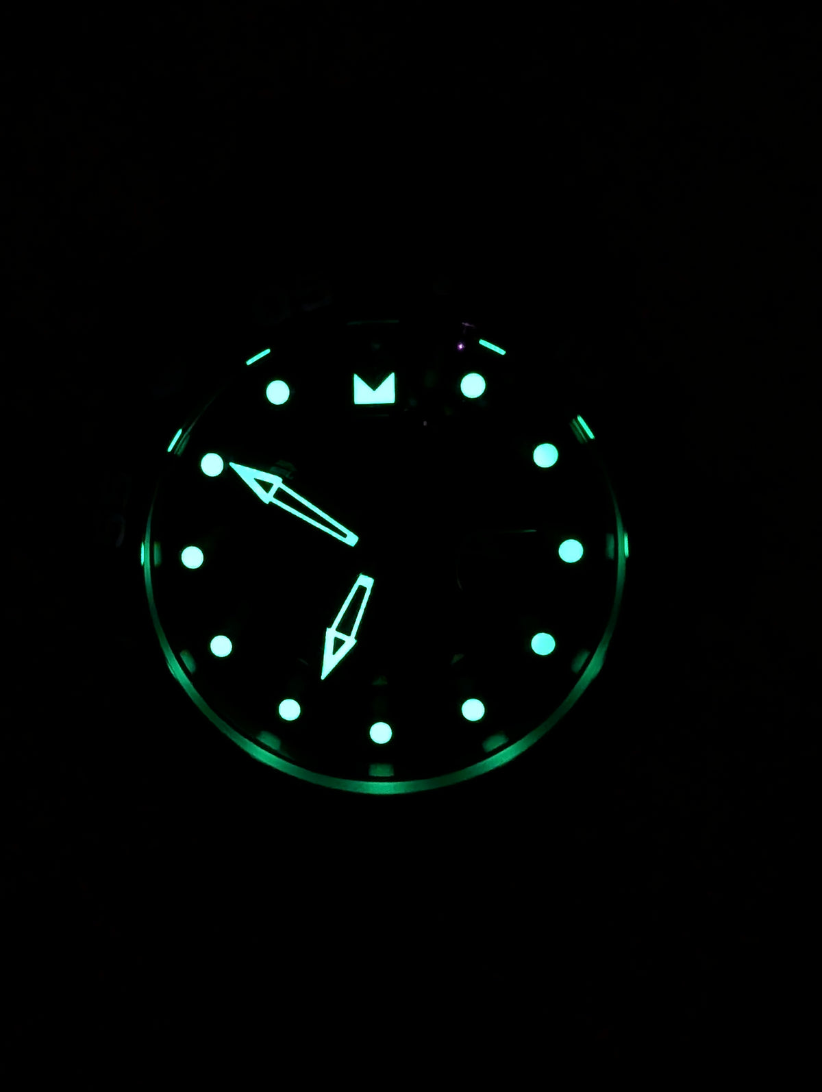 Invicta Pro Diver SCUBA Swiss Ronda 515.24H Caliber men's watch - 48mm
