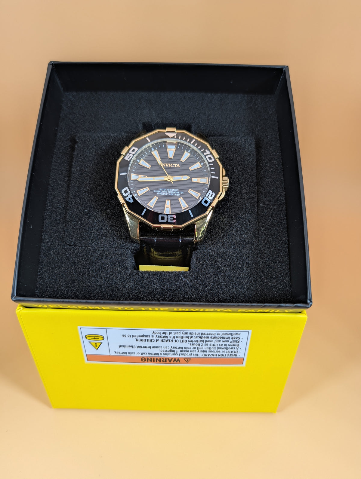 Invicta Pro Diver Meridian men's watch - 46mm