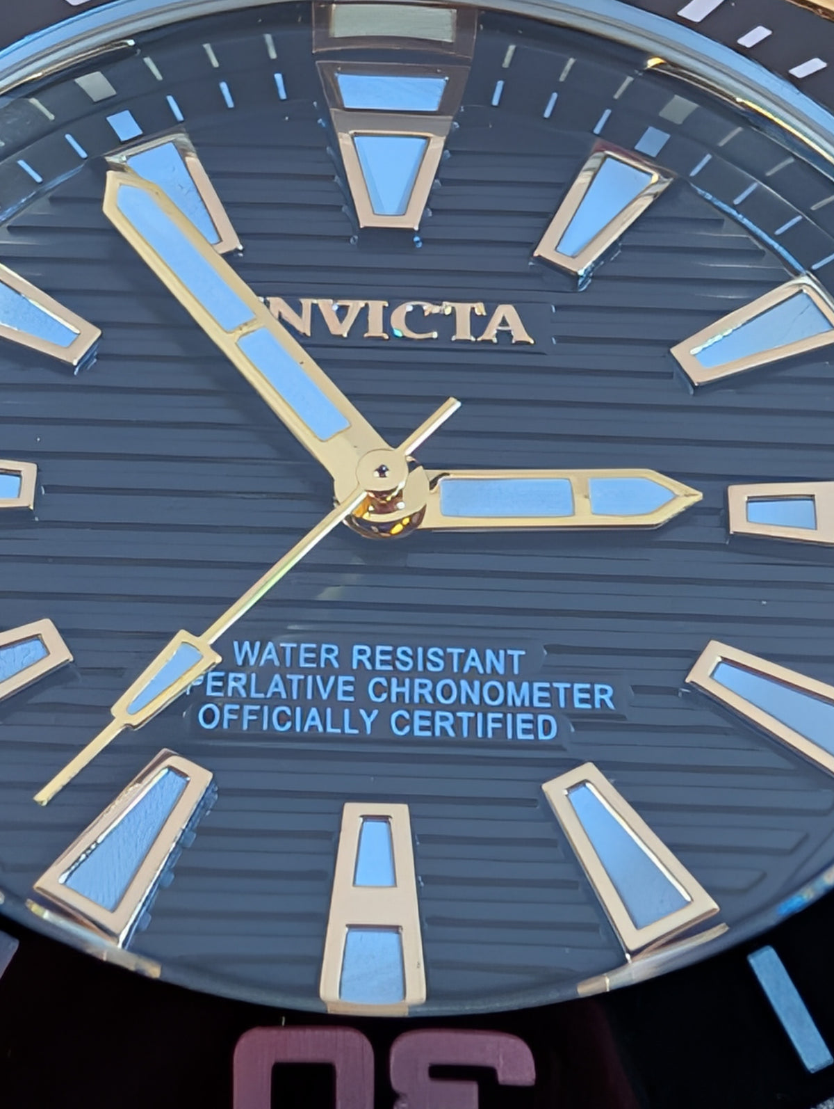 Invicta Pro Diver Meridian men's watch - 46mm